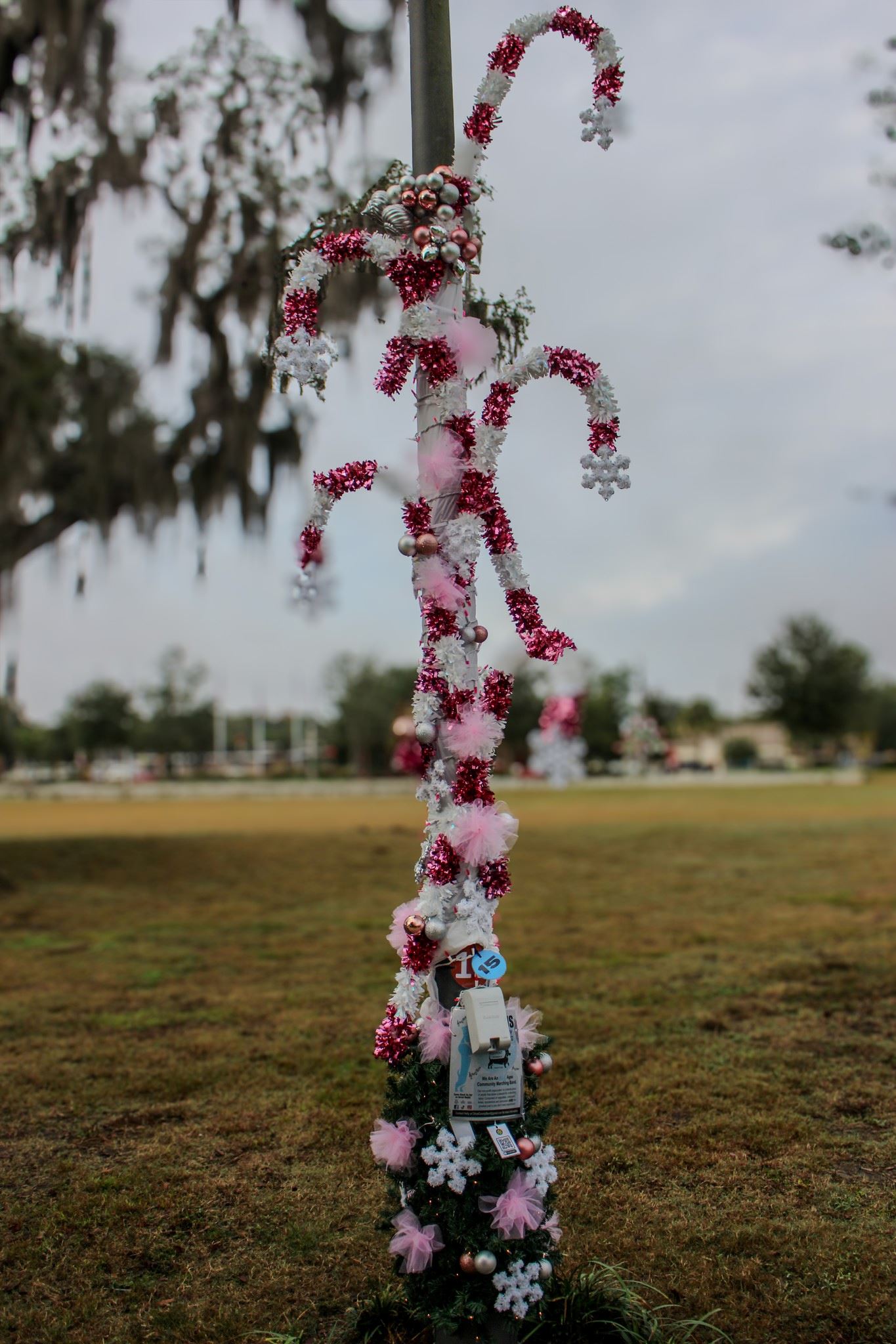 Song Winner -  Marching Band